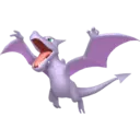 www