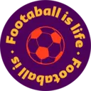 Qatar 2022 6