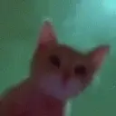 Reaction 2 3