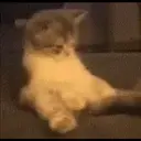 Reaction 2 1