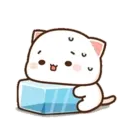 MOCHIS CAT Extra"T" MOV 1