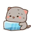 MOCHIS CAT Extra"T" MOV 15
