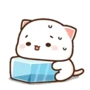 MOCHIS CAT Extra"T" MOV 14