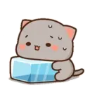 MOCHIS CAT Extra"T" MOV 16