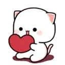 MOCHIS CAT Extra"T" MOV 5