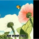 LA ABEJA MAYA MOV. 13