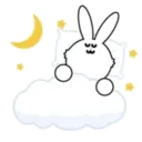 Bunny Bunny 8