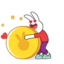 Bunny Bunny 11
