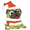 My pug ꁲꃔꀷꏳꊿ 12