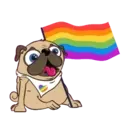 My pug ꁲꃔꀷꏳꊿ 4