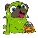 My pug ꁲꃔꀷꏳꊿ 14