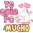 Latte, Miau 1