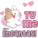 Latte, Miau 16