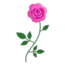 Flores 1 21