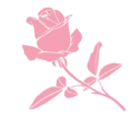 Flores 1 5