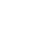 Flores 1 9