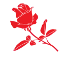 Flores 1 17