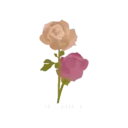 Flores 1 1
