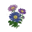 Flores 1 10