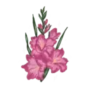 Flores 1 7