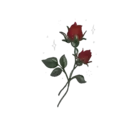 Flores 1 6