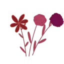 Flores 1 23