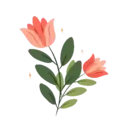 Flores 1 29