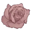 Flores 1 20