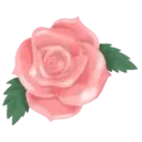 Flores 1 11