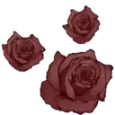 Flores 1 13