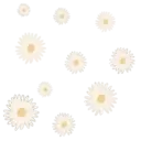 Flores 1 3