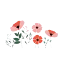 Flores 1 4