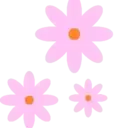 Flores 1 16