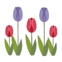 Flores 1 26