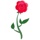 Flores 1 15