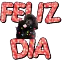 Frases lindas ️ 27
