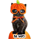 te ve