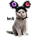 holi