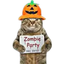 Zombie
Party
FREE ENTRY