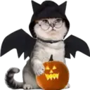 wwww