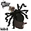 APPY
MALEEN
kiärä