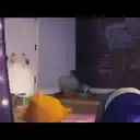 VIVO NETFLIX - Mov 1