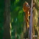 VIVO NETFLIX - Mov 9