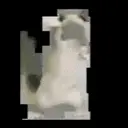 Reaction 6 16
