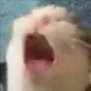 Reaction 6 8
