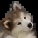 Reaction 6 30