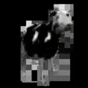 Reaction 6 15
