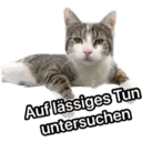 whitesnoutlarry 7