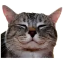 whitesnoutlarry 3