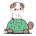 Little Puppy 14